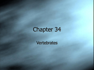 Chapter 34 Presentation