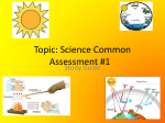 Common Assessment 1 SG
