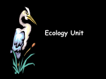 Ecology_2