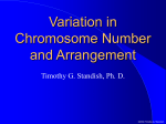 Chromosome Mutations - Circle