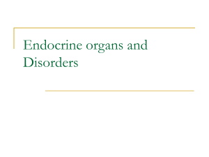 Endocrine syste
