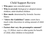 Child Support Review
