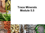 Student Module_5-5_Trace_Minerals
