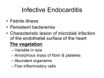 Endocarditis