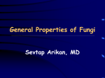General Properities of Fungi