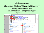 Palindromic Sequences