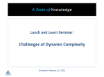 Challenges of Dynamic Complexity