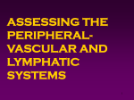 peripheral vascular/lymphatic assessment