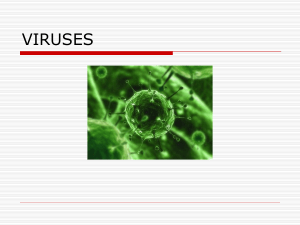 19-Viruses
