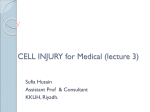 4-Edited CELL INJURY for MEDICAL Sept. 2014 lecture