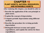 CHAPTER 10 PLANT ASSETS, NATURAL RESOURCES, AND