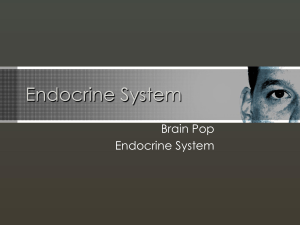 Endocrine System