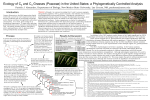 Ecology of C3 and C4 Grasses (Poaceae) in the