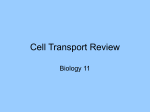 Cell Transport Review - hrsbstaff.ednet.ns.ca