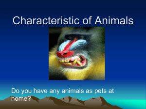 Characteristic of Animals