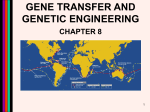 GENE TRANSFER AND GENETIC ENGINEERING