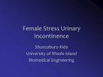 Female Stress Urinary Incontinence