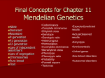 Final Concepts for Chapter 9 Mendelian Genetics
