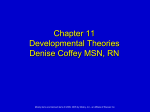 CHAPTER 11 DEVELOPMENTAL THEORIES