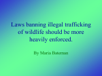 Laws banning illegal trafficking of wildlife should be more heavily