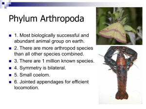 Chapter 6 – Arthropods ()