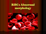 RBCs Abnormal morphology