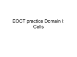 Domain - Cells preassessment quesitons