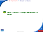 10–1 Cell Growth