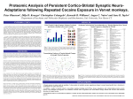 Proteomic Analysis of Persistent Cortico