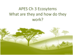 APES Ch 3 Ecosytems What are they and how do