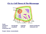 cells - (www.ramsey.k12.nj.us).