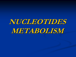 NUCLEOTIDES METABOLISM Nucleotide