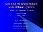 Koyuk-final_morphogenesis_presentation