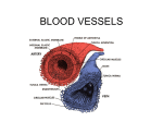 Arteries - Cobb Learning