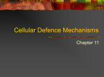 Cellular Defence Mechanisms