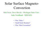 Solar Surface Magneto-Convection