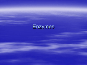 Enzymes - Net Start Class