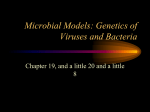 Microbial Models: Genetics of Viruses and Bacteria