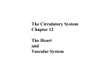 Pulmonary artery