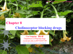 Chapter 8 Cholinoceptor