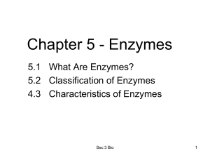 enzymes - mnwikiigcse