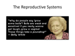 Reproduction Powerpoint