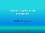 Nutrient Cycles