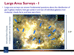 Large Area Surveys