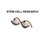 STEM CELL RESEARCH - Mandarin High School