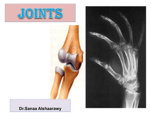 18-joints