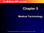 Chapter 5 - Revsworld