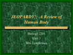 Human Body JEOPARDY
