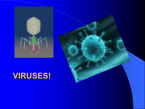 viruses! - Science with Mrs. Schulte
