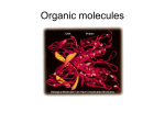 organic_molecules_pp
